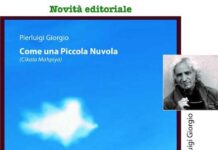 piccola nuvola pierluigi giorgio