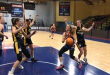 baldassare sotto canestro