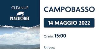 evento plastifree campobasso