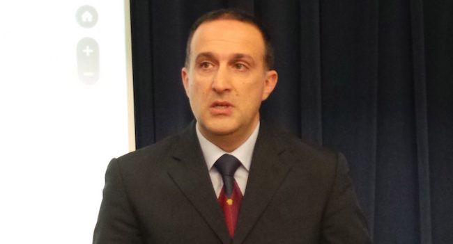 michele falcione