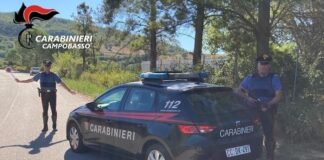 posto blocco carabinieri termoli