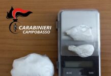 stupefacente sequestrato termoli