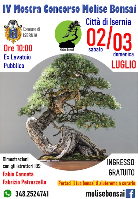 mostra bonsai 2-3 luglio 2022