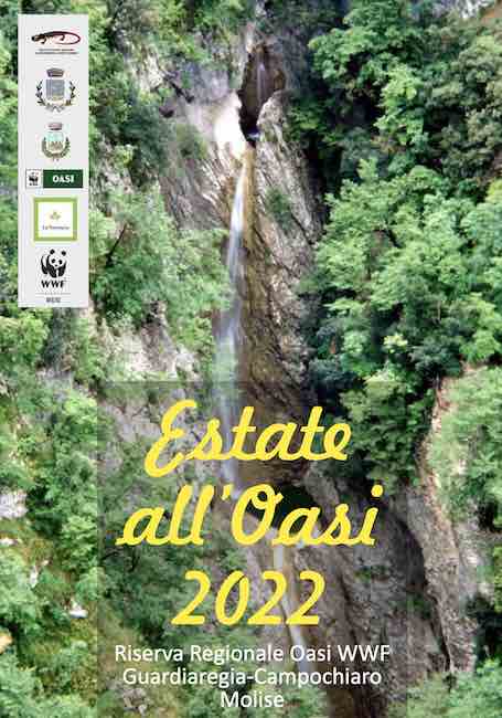 estate all'oasi 2022