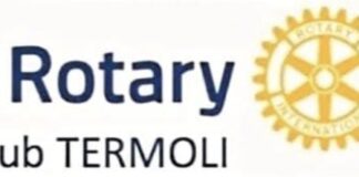 rotary club termoli