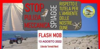 stop pulizia meccanica 13 agosto 2022