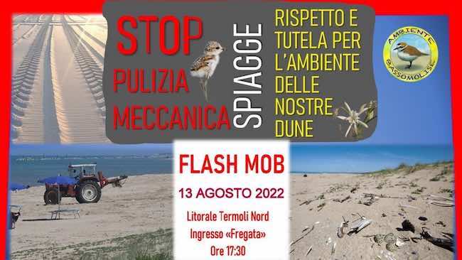 stop pulizia meccanica 13 agosto 2022