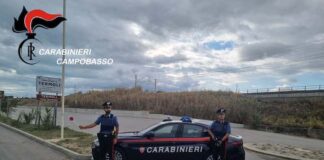 Termoli, rocambolesco inseguimento: i Carabinieri recuperano auto rubata carabinieri posto blocco