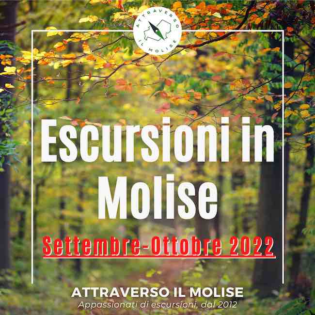 escursioni autunno 2022