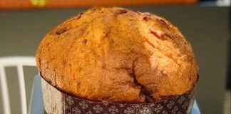 panettone gerri