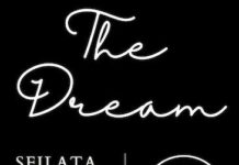 the dream sfilata