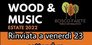 wood and food
