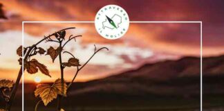 attraverso molise 10-16 ottobre 2022