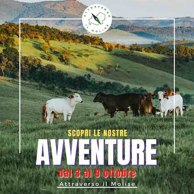 avventure 3-9 ottobre 2022