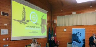 oha teramo 16 ottobre 22