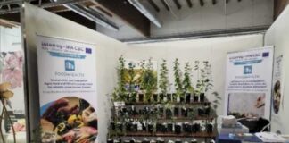 progetto food4health