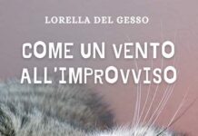 Come un vento all'improvviso