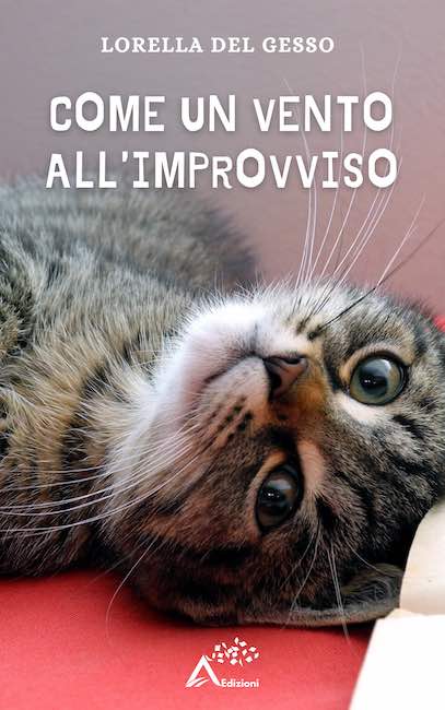 Come un vento all'improvviso