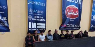 dodici nuovi arbitri