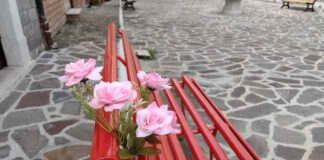 rose rosa sulla panchina rossa