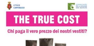 the true cost 25 novembre 2022