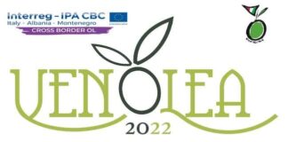 venolea 2022