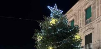 albero di natale termoli 2022