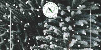 Avventure 23 dicembre 1 gennaio 2022/23