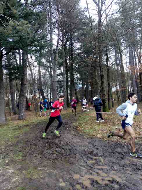 corsa campestre alfano