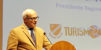 fondazione molise cultura toma