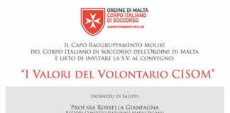 i valori del volontario cisom