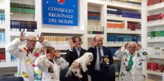 “Clownterapia PacioK onlus”, Eccellenza Molisana: consegnato il riconoscimento attestato paciok onlus