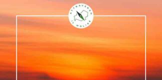 Avventure 9-15 gennaio 2023