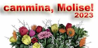 cammina molise 2023