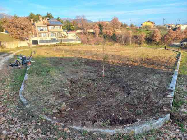 forestazione urbana isernia