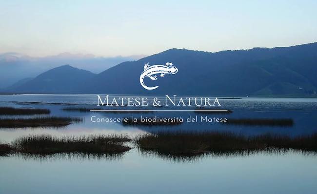 matese natura logo