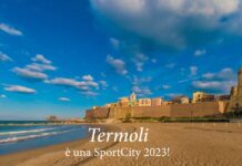 sport city Termoli 2023
