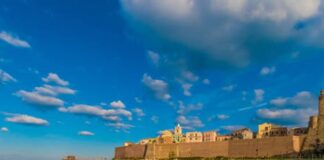 sport city Termoli 2023