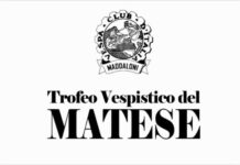 trofeo vespistico del matese