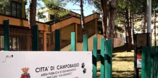 area sbambamento campobasso