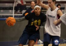 La Molisana Magnolia – Brescia: dove vedere la partita in diretta parks in entrata