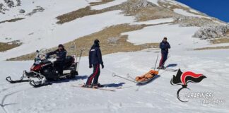 carabinieri campitello matese