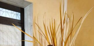 Intervista Dina d’Onofrio, presidente Confcommercio FIMAA dina d'onofrio