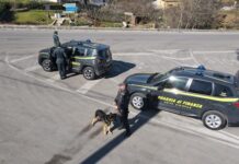 gdf posto di blocco