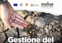 gestione del rischio agricoltura