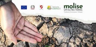 gestione del rischio agricoltura