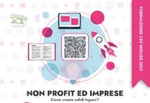 non profit e imprese