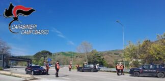 controlli basso molise