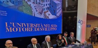 università nel sud