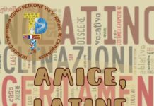 amice latine discere 2023